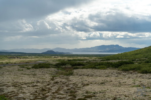  D854887