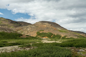  D854889
