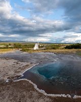  D855008