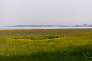  D855087