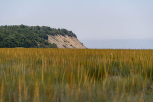 D855094
