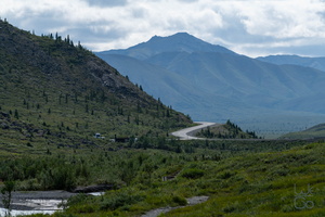  D855277