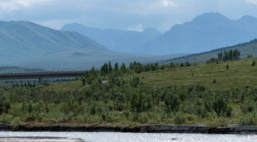  D855287