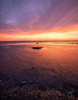  D856569-HDR