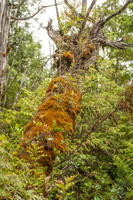  D857326