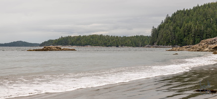  D857337