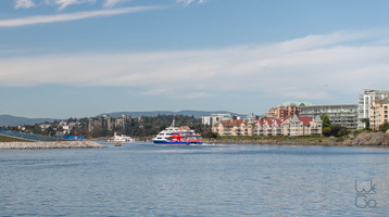  D857677