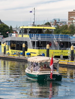  D857679