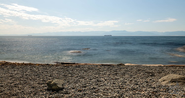  D857706