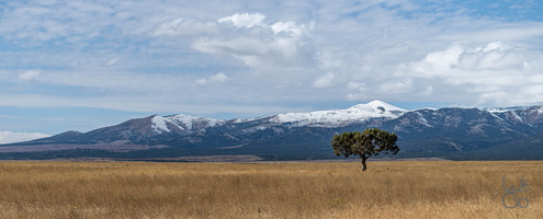  D858709