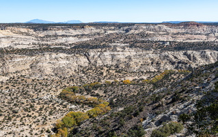  D859584