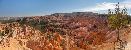  D859785-Pano