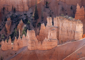  D859787