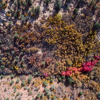 DJI 0197-HDR
