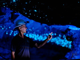 Glowworms explained