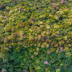 DJI 0718-HDR