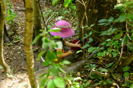  D856617