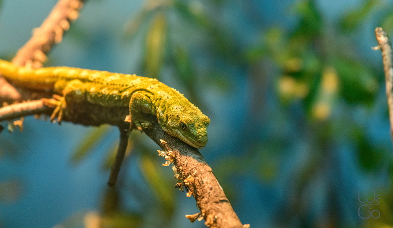_D856664.jpg