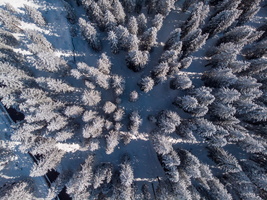 DJI 0463-HDR