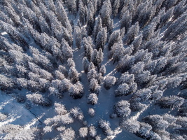DJI 0466-HDR