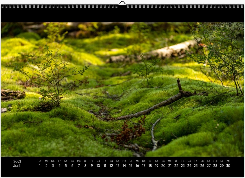 Kalender_Color_0006_June.jpg