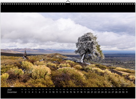 Kalender Color 0012 Dec