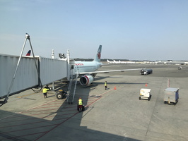 IMG 8991