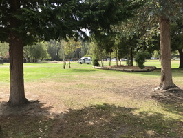 IMG 0494