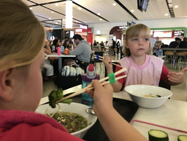 IMG 0499