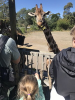 IMG 0458