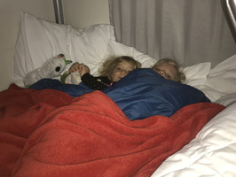 IMG 0446