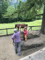 IMG 1127