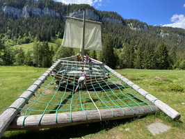 IMG 6987