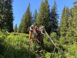 IMG 7291