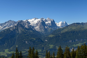  D855239