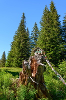  D855242
