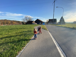 IMG 7995